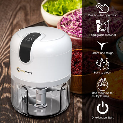 Rechargeable Mini Hand Rondo with Steel Blade 300 ML