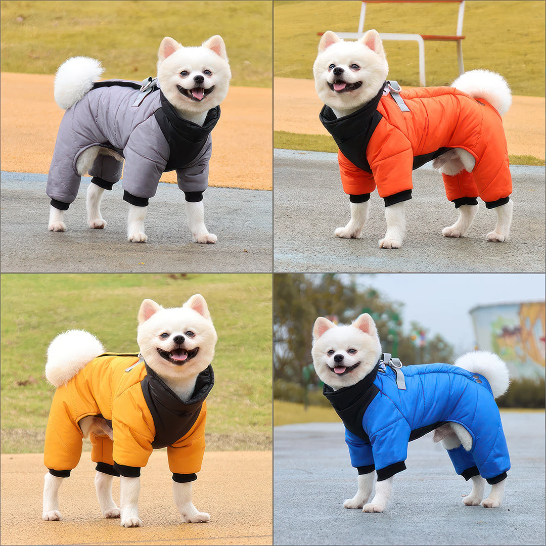 S Size Windproof & Waterproof Full Body Warm Dog Coat (Blue) Y-S-P