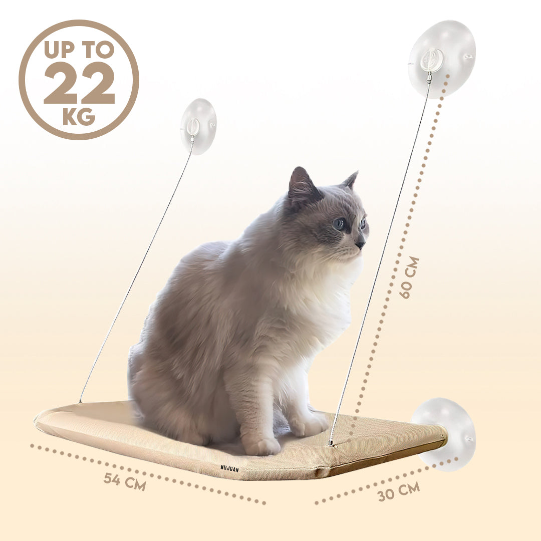Comfortable Window Mounted Cat Hammock for Pet Relaxation